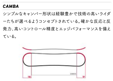 モデル デザインが人気の定番シェイプSUZZY   USP JAPAN site