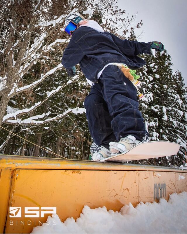 18-19モデル クラシカルシェイプのクルージングモデル「HARMONIZE i